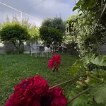 Nela Shkodër