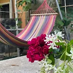 Nela Hotel